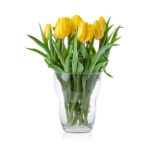 f5da08c64a47acad85335988f85406de