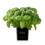 7cc8a4e6918d780df4542e5d4cb3e2cb