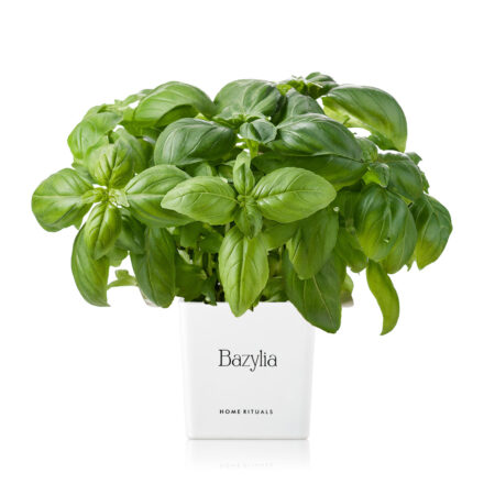 54b27d9ea60752bf081ec9b97c32b611