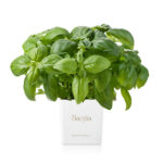 b3834529e0bc08cd7f01a43827550f8c