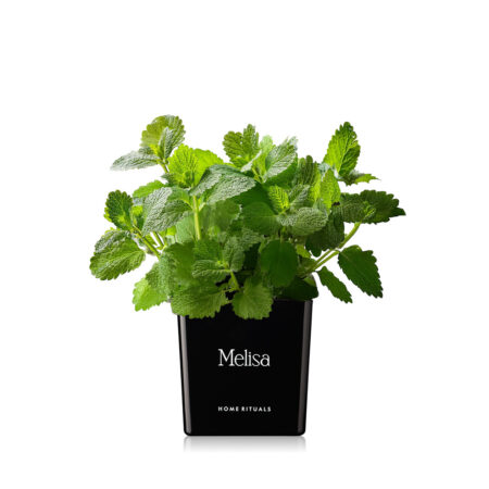 4a6938c36a9a2e91c9e1cdd4b8901e18