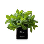 a1ef9e7f5025e2908cc6c658dac48d3e