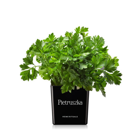 91755efc5ae5d9736a33622ca65cd320