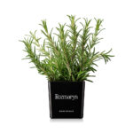 354dab9cb4da3b45d9d03d1564ee1ee6