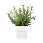 5df707830aa0a48261204852b56cb10e