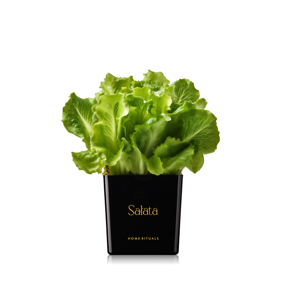 70230_salata_bk_gold.jpg 6a5ec84f29c96c5b0457a515efbe7abf