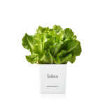 0c6e80c7d4247a7a727de2bf6dda6a54