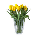 51f56b598fc30c45162de79749c2825e