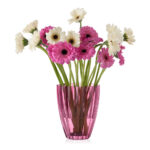 04f8dcd58b706b9bcf8bbaff6505c184