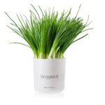 127392e74fd1218a981c433da58b99bb