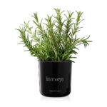 4637d04730741d223e8ae750fc8d3c7f