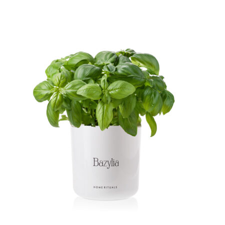 d634c7ef6281c5b60362f63102afcc23