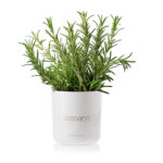 33f995c2bb4b54c43be5f8e1fa6ba254