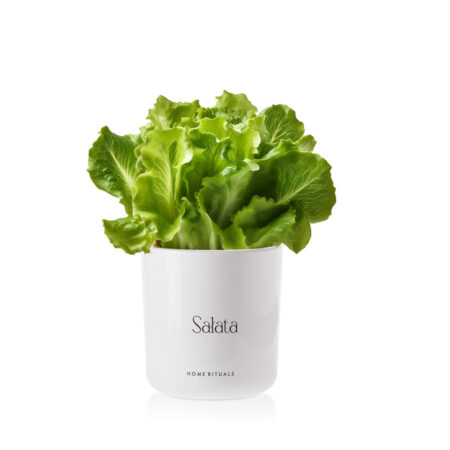 3d58865620a17e4af2002ace7f988561