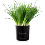 61a772b5c35dbf0b0a1abb3fe31f065d