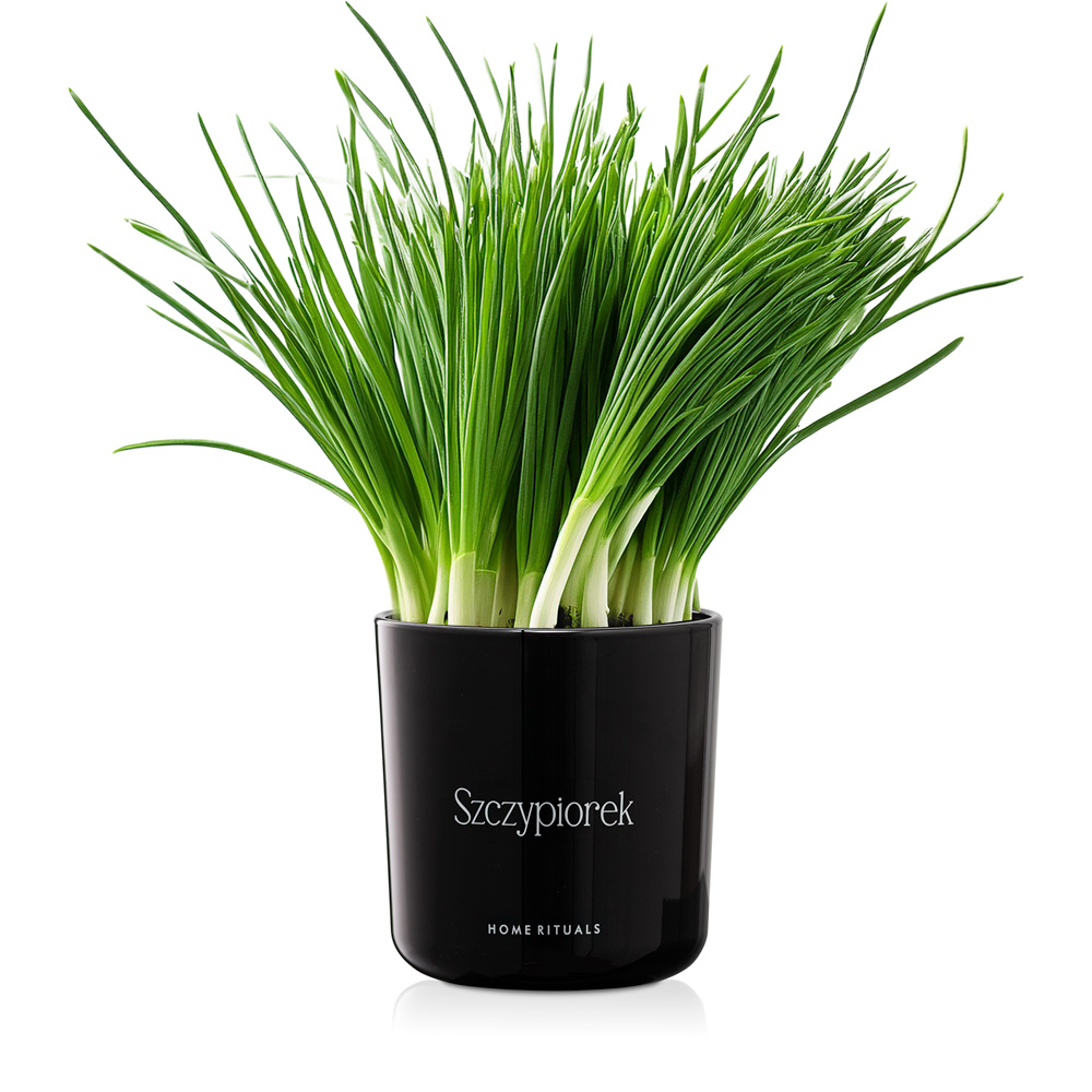 70675_4BW.jpg 61a772b5c35dbf0b0a1abb3fe31f065d