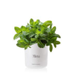 996193e3b815c40f394363e7a9196829