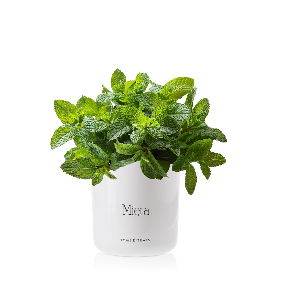 70675_5WB.jpg 996193e3b815c40f394363e7a9196829