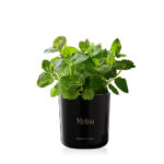 9f373655465a3497928ad4bb57bdf8b7