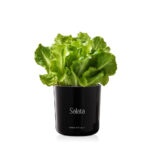 5b257c332a6dae0e2f9e0e25c89c7646