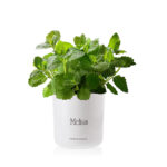 ecc69d0acd9e88848e85930425b11ee3