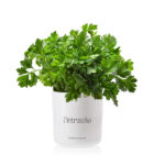 2d43039980663a9eb01c13f17e58a53d