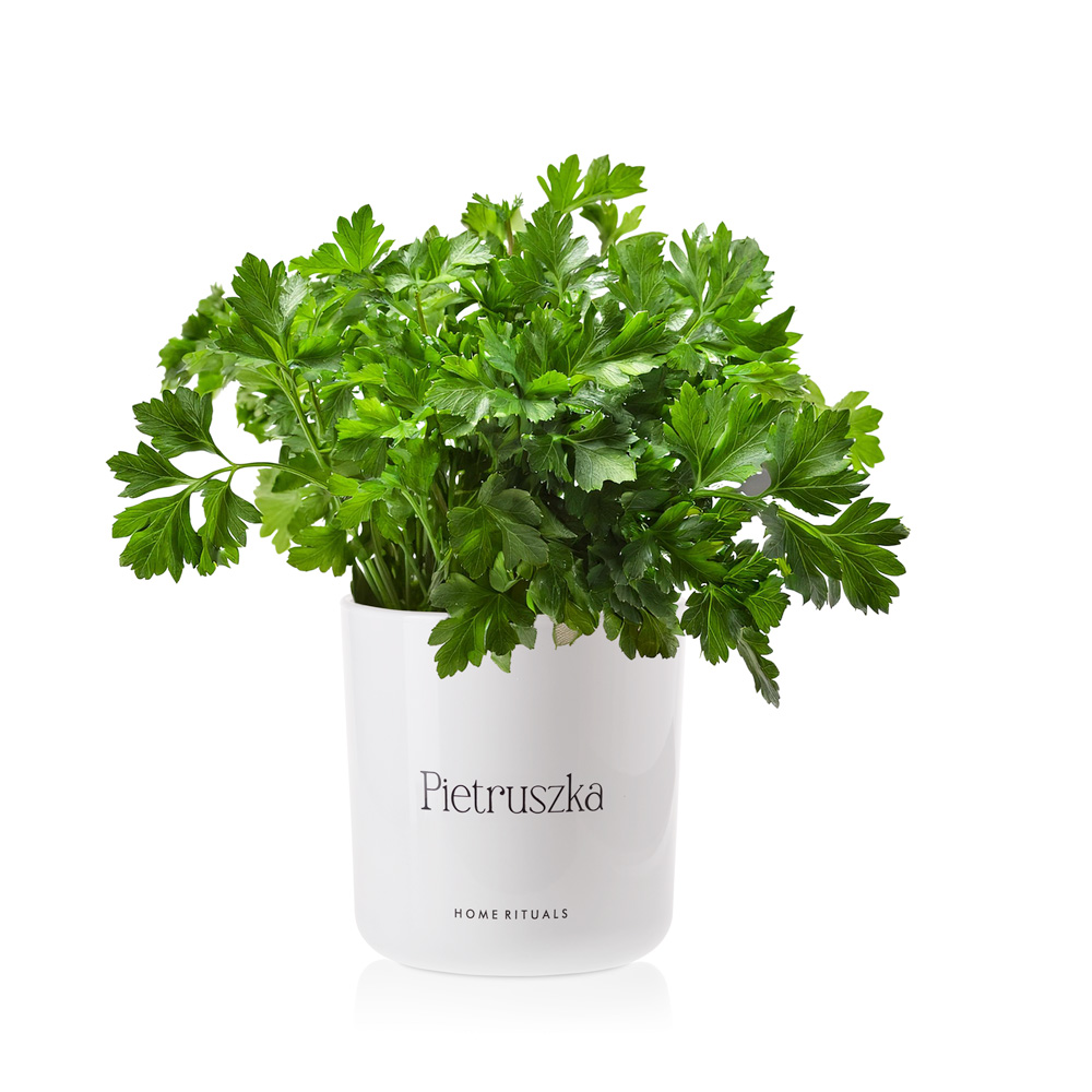 70675_7WB.jpg 2d43039980663a9eb01c13f17e58a53d