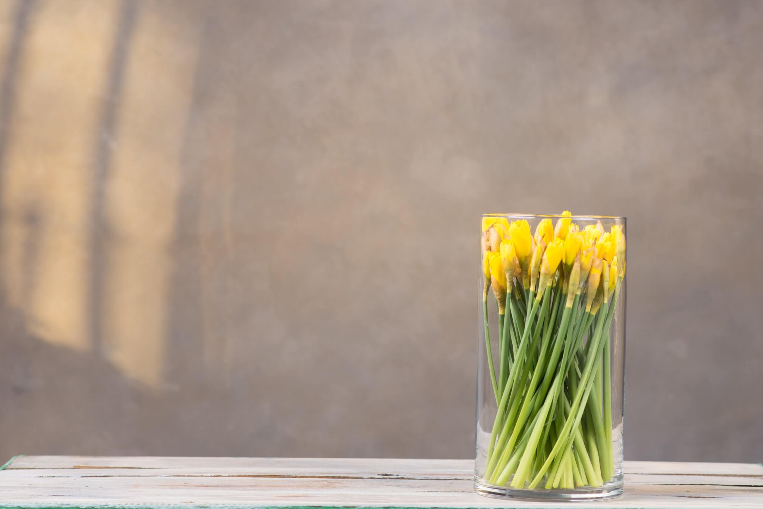 7854d7e84361b276700c0ca932c1-2-1.jpg df6a67db6eb5f73fc9e90e2027d4db31