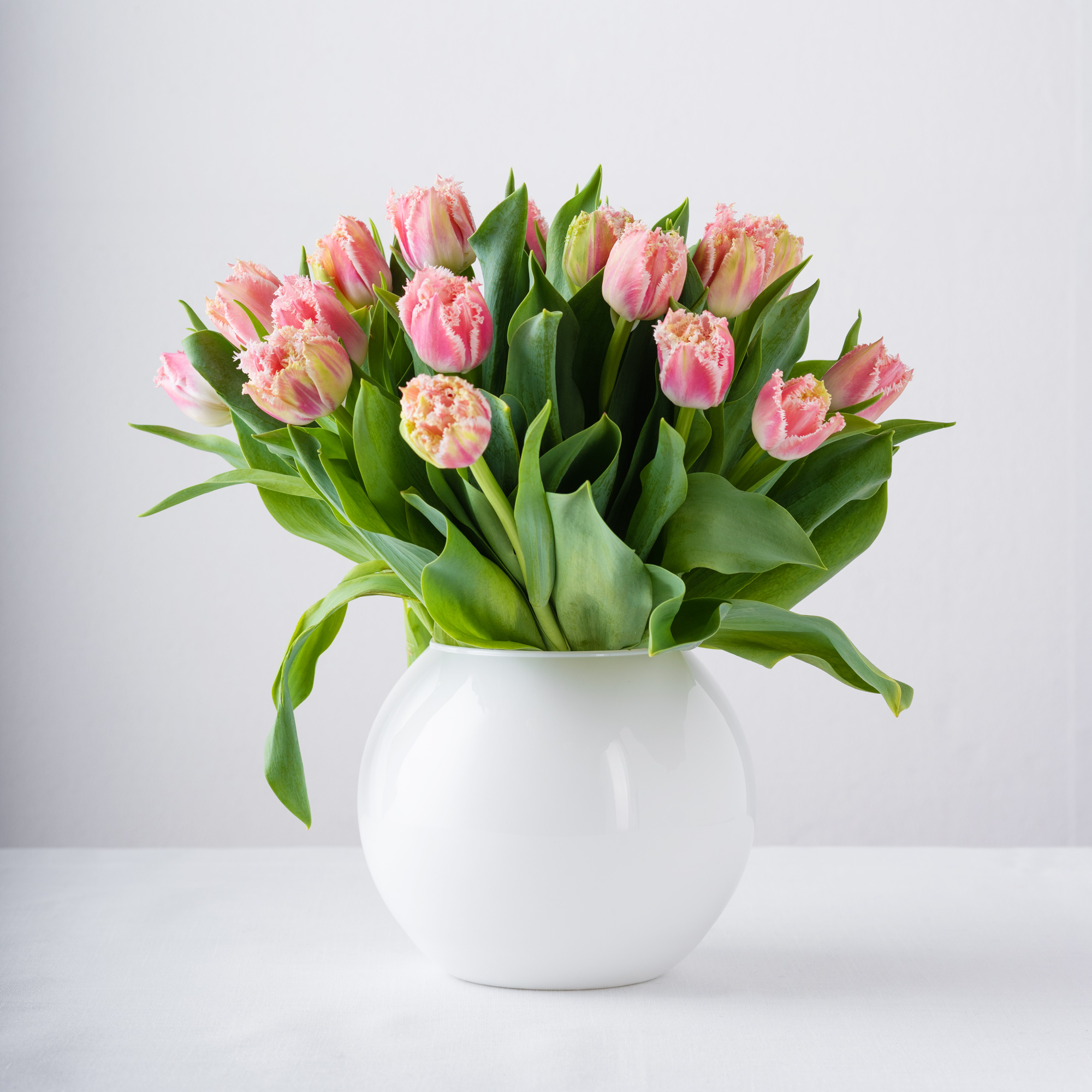 Fish_bowl-6-Edit-1.jpg 1115269d727ab0642d942eeccd5b5a8b