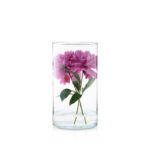 d3168bfc5e1debf9bcbe6e67c34a5bcf