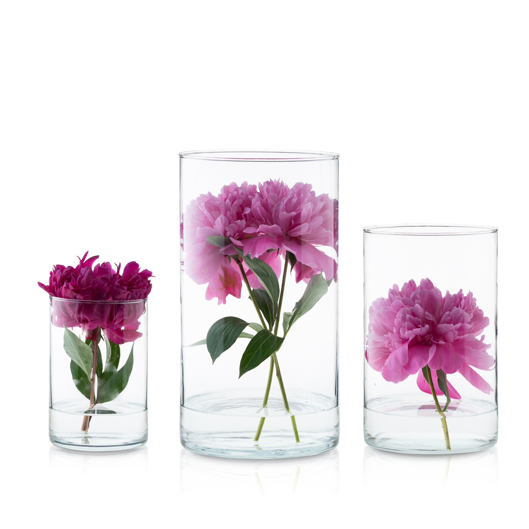 GG_Large_clear_vase-036-Edit_All.jpg 2568bfe835efc831329dfeaeb6a9ae85