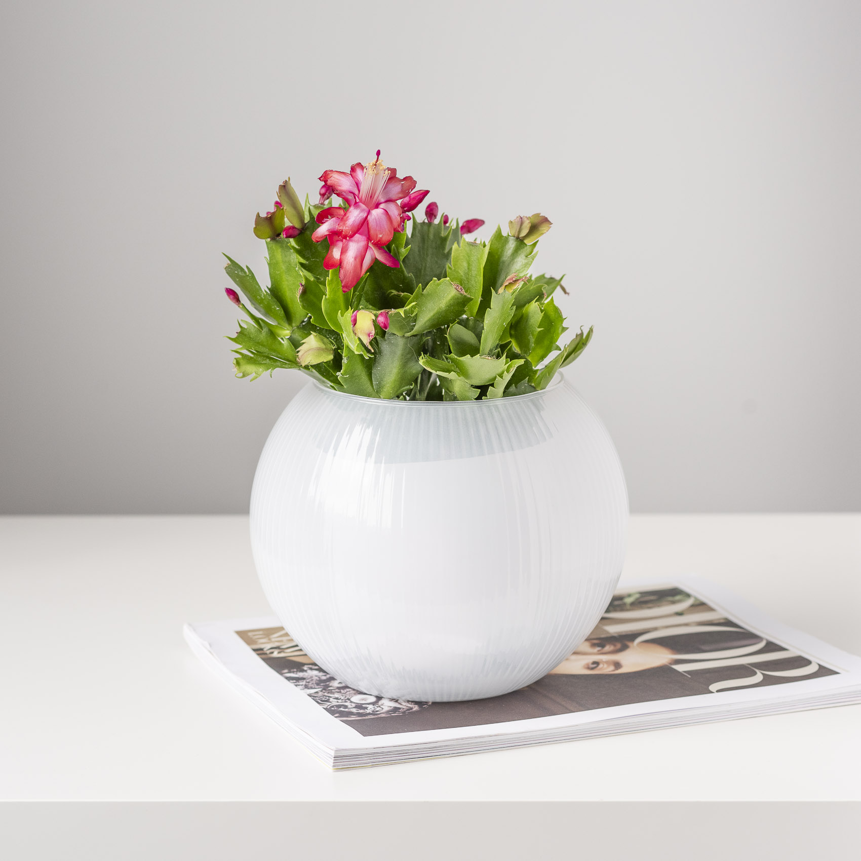 GG_Product_13_Advent_Cal-090.jpg e867109b07069ab2e4f0e59c7f19777d