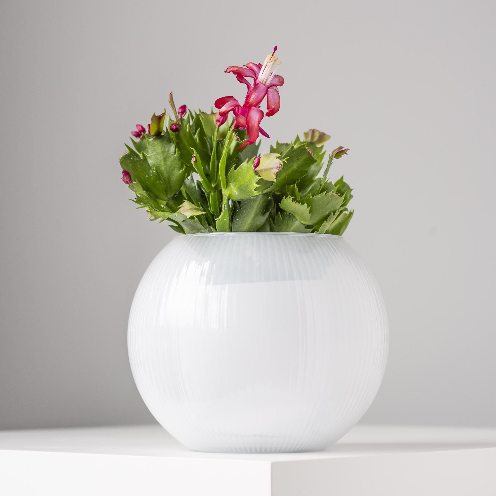 GG_Product_13_Advent_Cal-091.jpg d61d66f7328b86e76154a4d7dde9d335