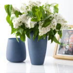 1b6f96dd6bb1e01d230c89635eb852fc