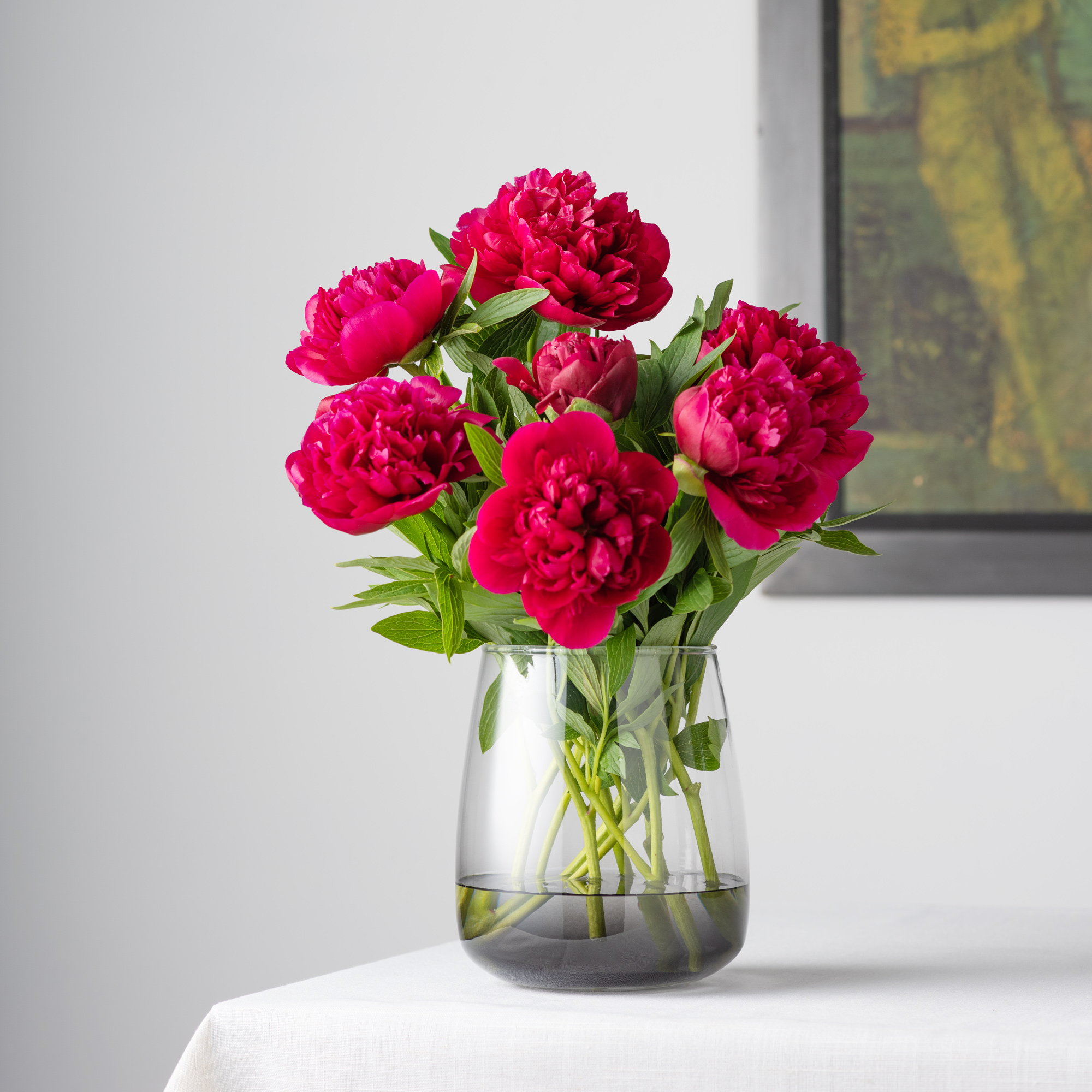 Shaded_2.jpg 57f96bac56857e7080fa07d75bb17e9e