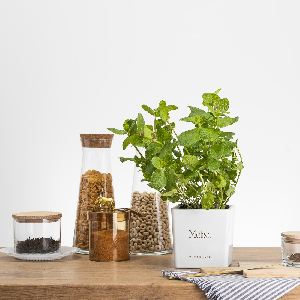 Sklep_aranz_70230-037-1.jpg 26f19d9e0ee26abb3add9dc8622307fe