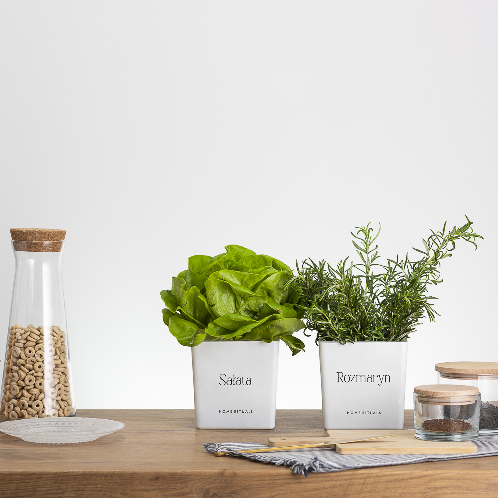 Sklep_aranz_70230-046-1.jpg 4f4ec55a86a60c0d4f9c2a8a4717aaa0