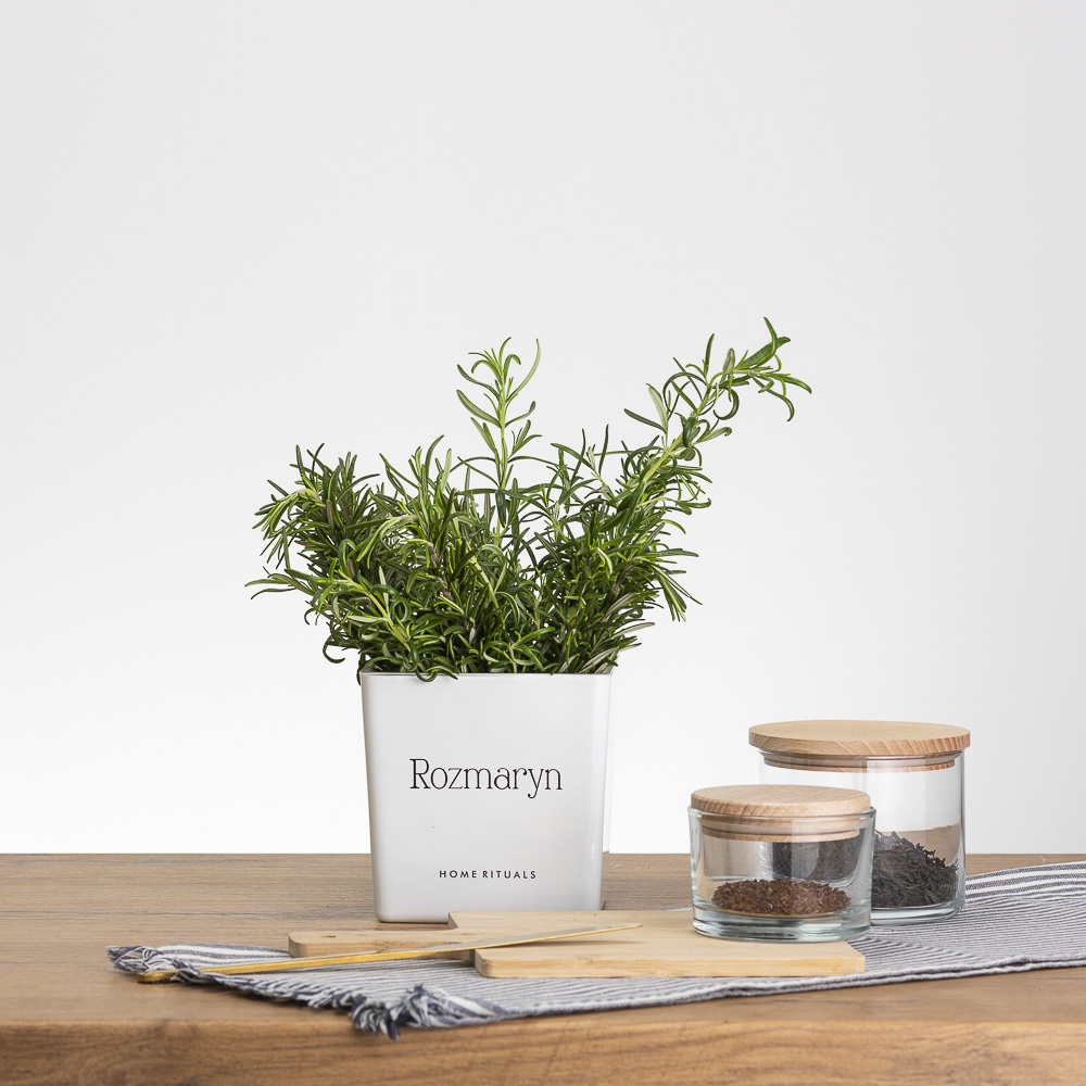 Sklep_aranz_70230-047.jpg ebfb4ee1f057a1fd385c9a5c29d8e499