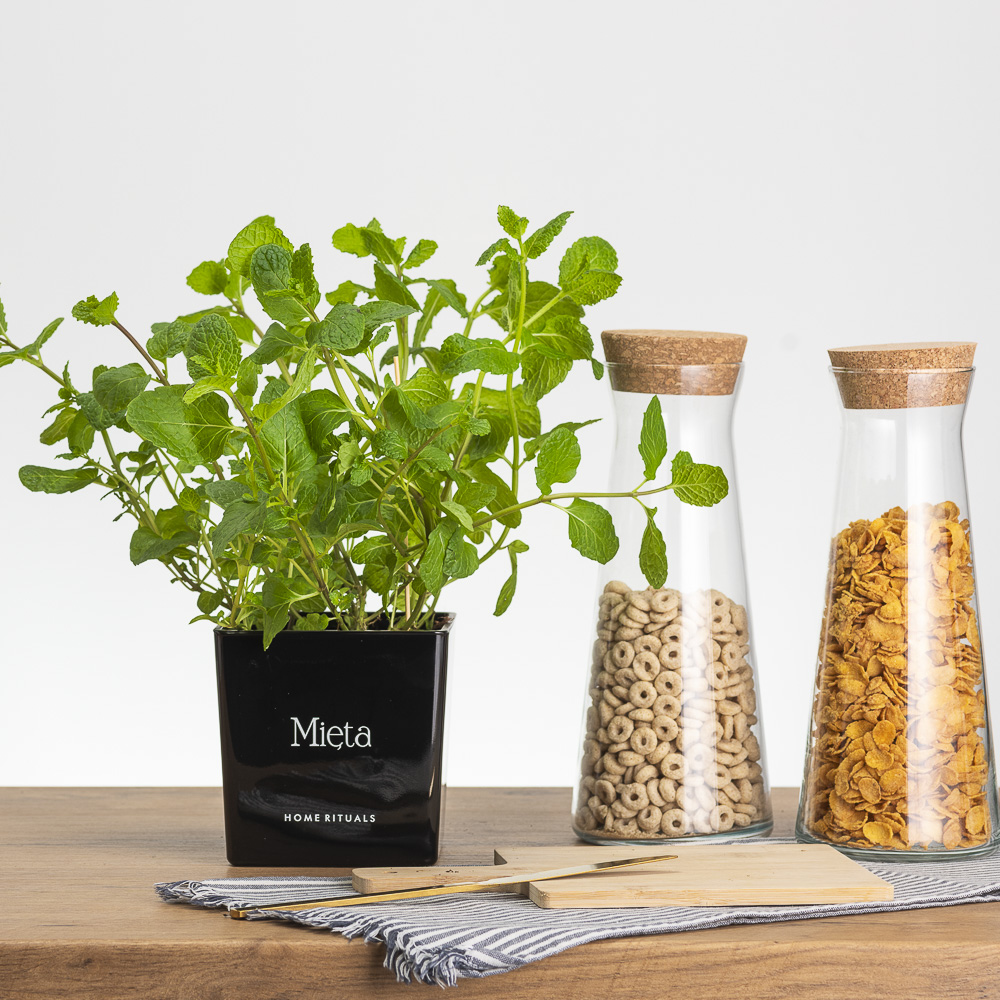 Sklep_aranz_70230-059.jpg a76d1ffb22ba541d297e6530120ddfe5