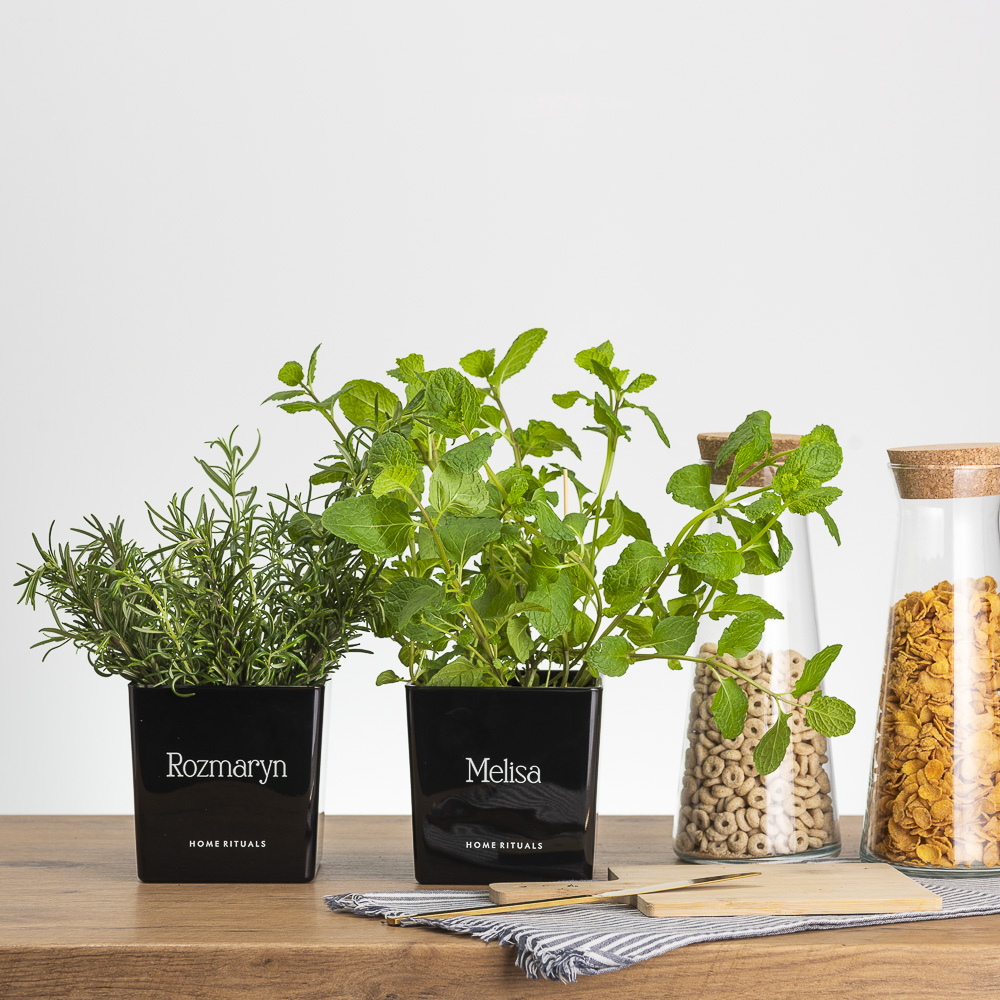 Sklep_aranz_70230-061.jpg 51ddef39fe15c0e4b0400083d0bdb3b9