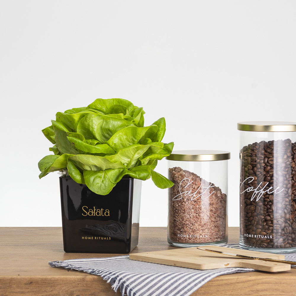 Sklep_aranz_70230-071.jpg 1ddd9657a979ea97298d74d3fd0218b1