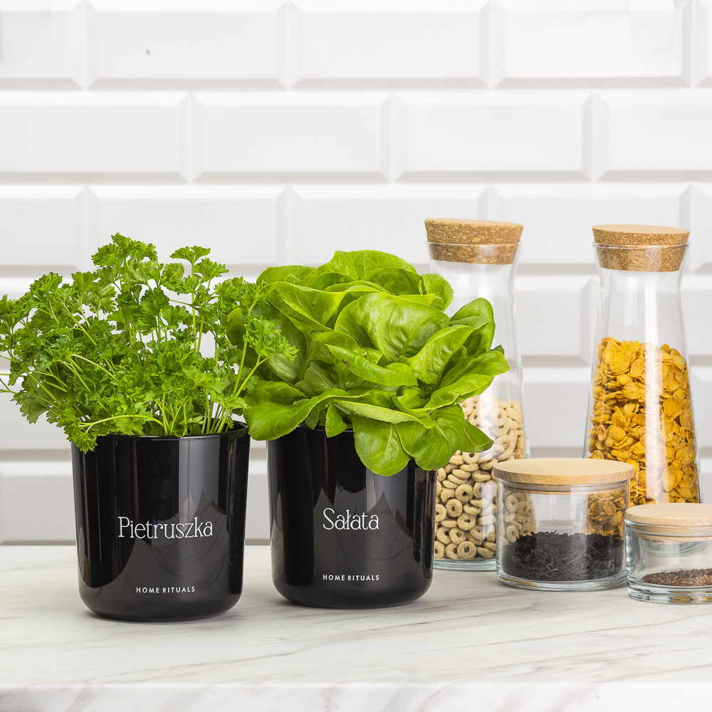 Sklep_aranz_70230-095.jpg 5a1e9c9d4f79d40a325f3c8e6ad60b9c