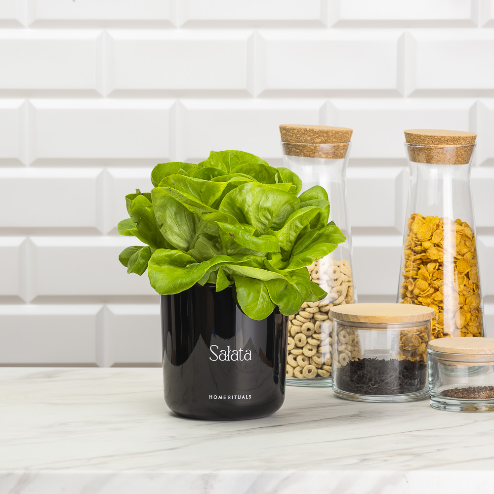 Sklep_aranz_70230-096.jpg 8b8600b9440c7560252169c6700d5da4