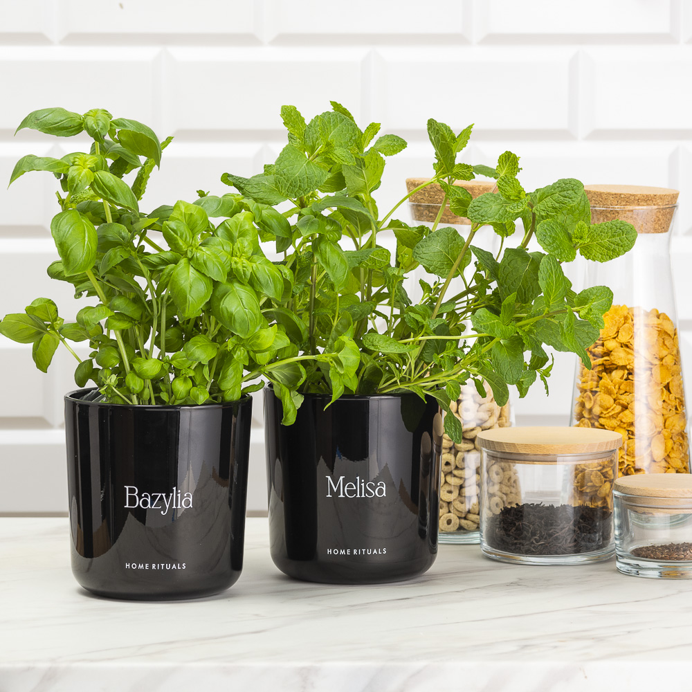 Sklep_aranz_70230-098-1.jpg 5e08094a566a956fc33ee5d6276bcd22