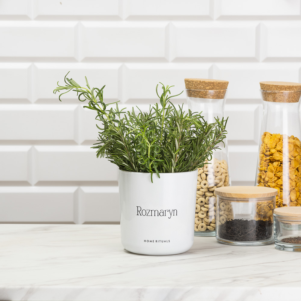 Sklep_aranz_70230-106-1.jpg 60b4fafe47da5d9b95d6a9c4da267202