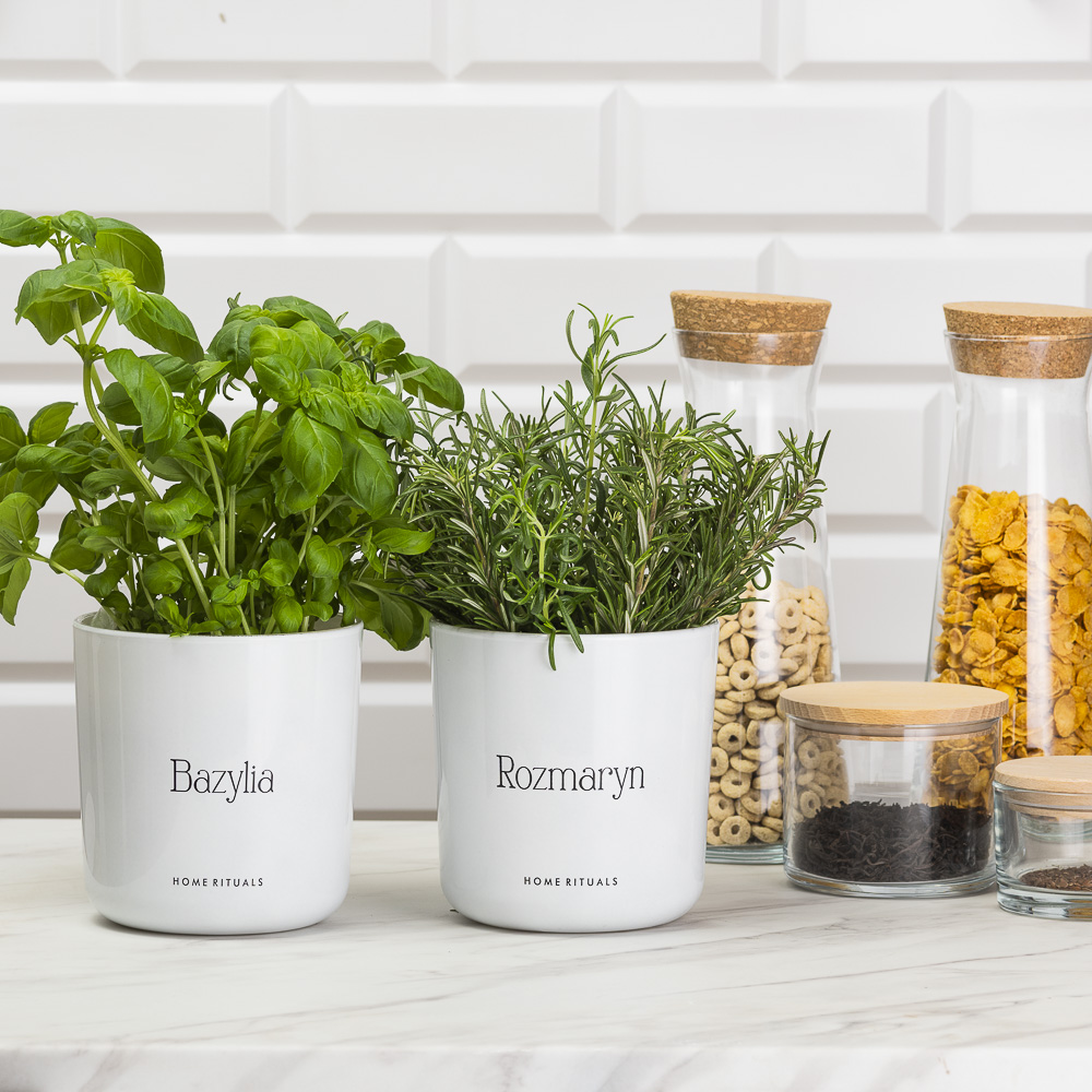 Sklep_aranz_70230-107-2.jpg 0af540434a9483caf21c7676981a28e9