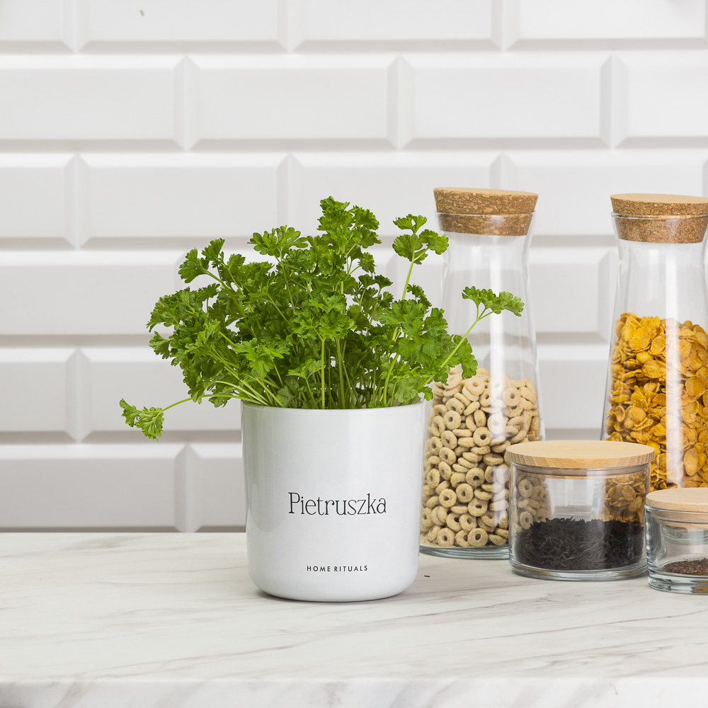 Sklep_aranz_70230-115.jpg c7aaa55c564ab016cff5a6992276734c