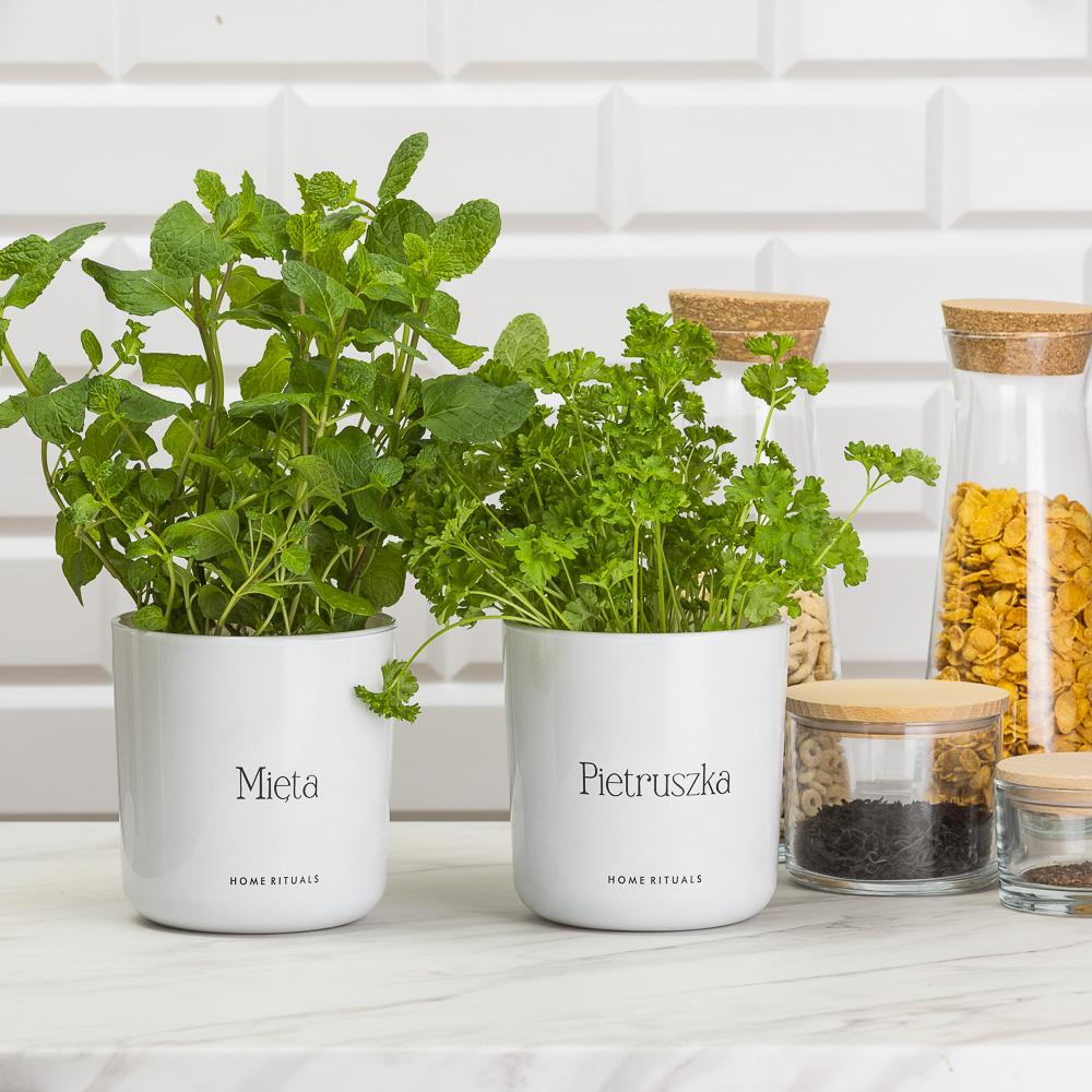 Sklep_aranz_70230-116.jpg b4e418652e33e6c6b77f7025ce3a75bf