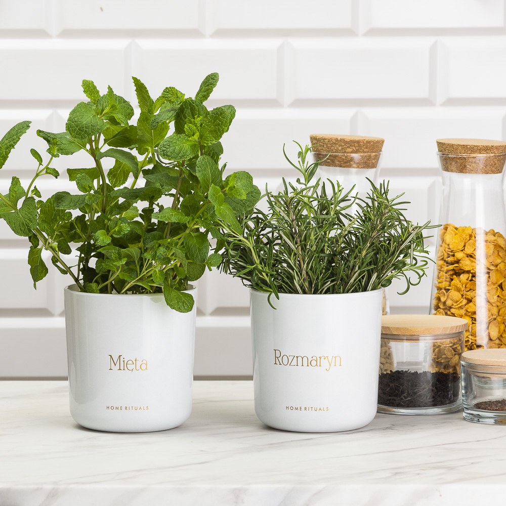 Sklep_aranz_70230-127-1.jpg fd384cc9c2aa382097b1fd334dba713d