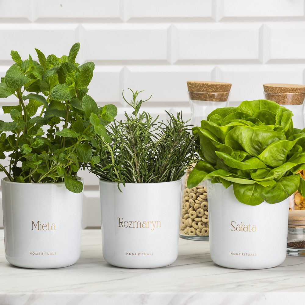 Sklep_aranz_70230-128-1.jpg 824bad9cae415552058f3b8724e32c48